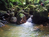 IMG_7800.JPG