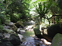 IMG_7801.JPG
