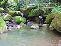 IMG_7802.JPG