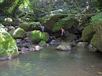IMG_7803.JPG