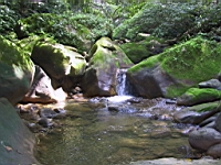 IMG_7804.JPG