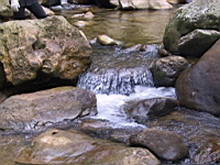 IMG_7805.JPG