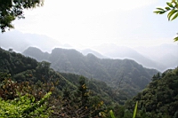 IMG_8052.JPG