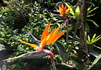 IMG_8054.JPG