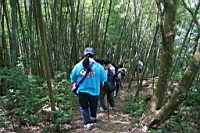 IMG_8062.JPG