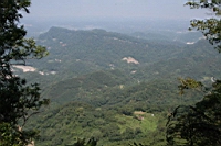 IMG_8063.JPG