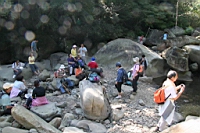 IMG_8088.JPG