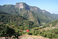 IMG_8237.JPG