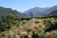 IMG_8238.JPG
