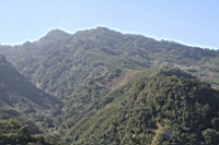 IMG_8240.JPG