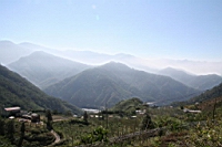 IMG_8241.JPG