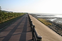 IMG_8279.JPG