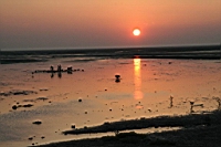 IMG_8280.JPG