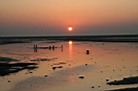 IMG_8282.JPG