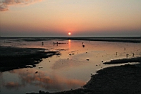 IMG_8283.JPG