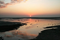 IMG_8284.JPG