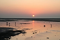 IMG_8285.JPG