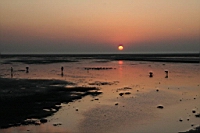 IMG_8286.JPG