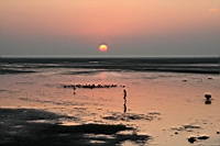 IMG_8287.JPG