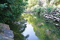 IMG_8301.JPG