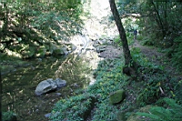 IMG_8302.JPG