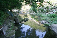 IMG_8308.JPG