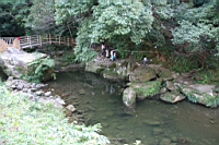 IMG_8311.JPG