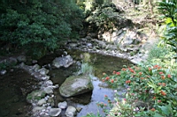 IMG_8312.JPG