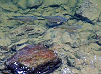 IMG_8313.JPG