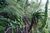 IMG_8555.JPG