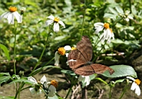 IMG_8560.JPG