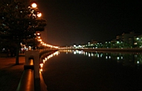 IMG_8709.JPG