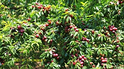 IMG_8758s.jpg