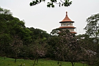 IMG_9287.JPG