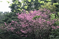 IMG_9306.JPG