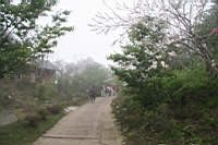 IMG_9341.JPG