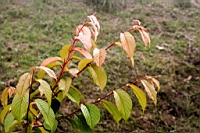 IMG_9349.JPG
