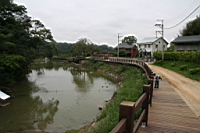 IMG_9370.JPG
