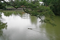 IMG_9376.JPG