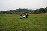 IMG_9378.JPG