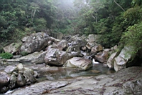 IMG_9379.JPG