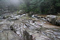 IMG_9380.JPG