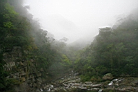 IMG_9387.JPG