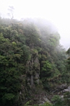 IMG_9389.jpg