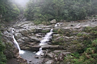 IMG_9390.JPG