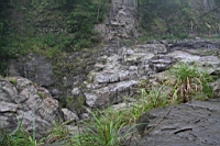 IMG_9405.JPG
