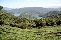 IMG_9484.JPG
