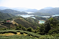 IMG_9518.JPG