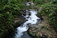 IMG_9521.JPG