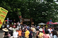 IMG_9853.JPG
